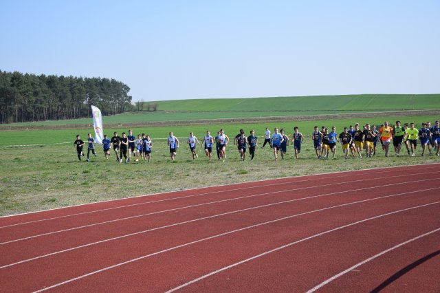 biegikwi 142